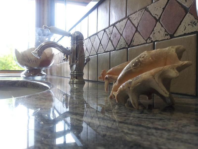 Sopra le Laure B&B Laureana di Borrello Cameră foto